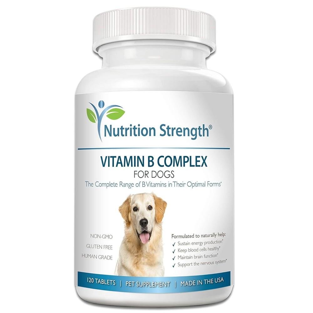 Nutrition Strength Vitamin B Complex for Dogs