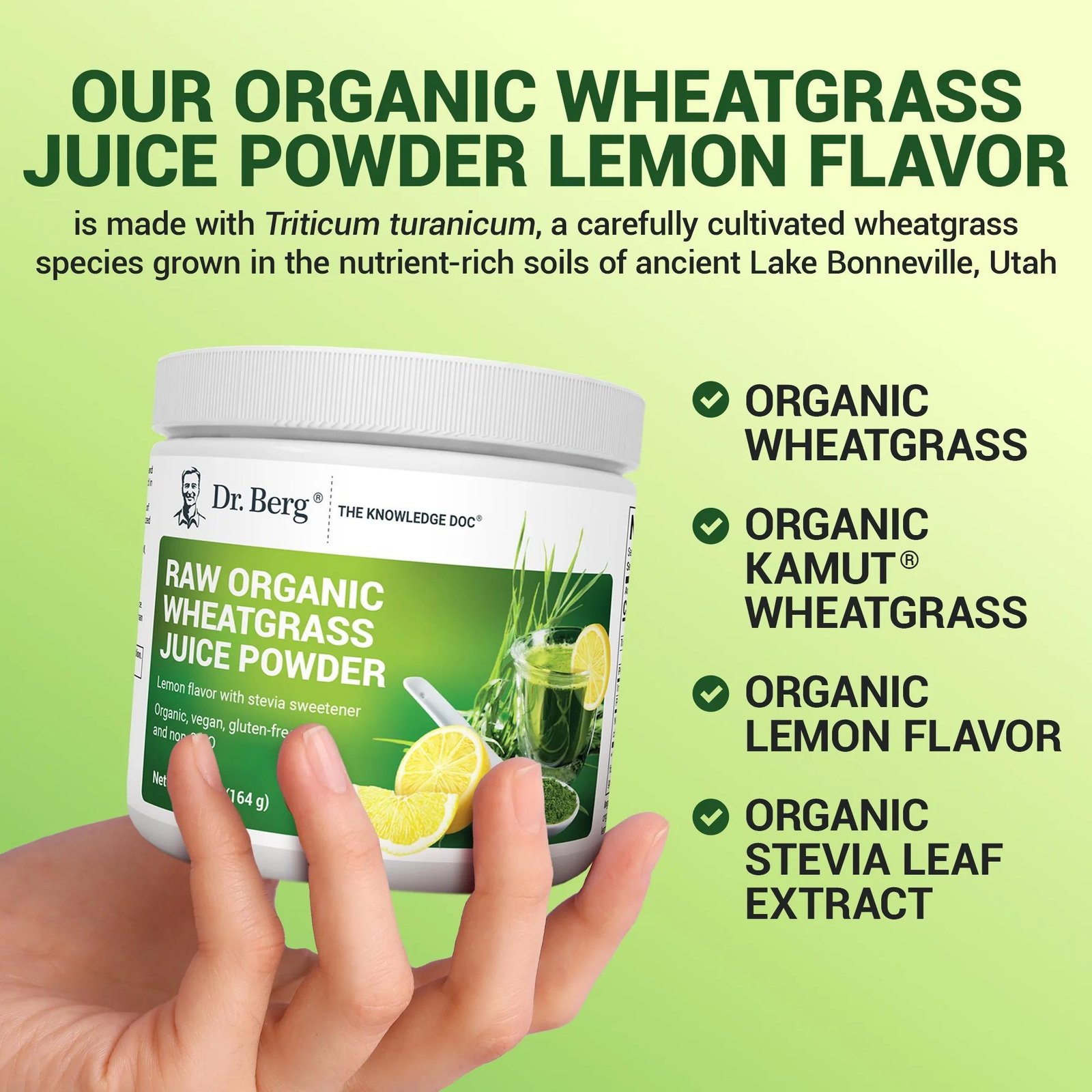 Dr Berg Raw Organic Wheatgrass Juice Powder Organic with Lemon Flavour - 164g thumbnail 5
