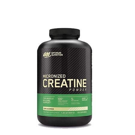 ON Optimum Nutrition Micronized Creatine Powder – 120 Servings
