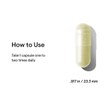 Thorne Broccoli Seed Extract with Myrosinase for Enhanced Bioavailability - 60 Capsules