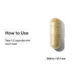 Thorne Pancreatic Enzymes for Digestive Support - 180 Capsules
