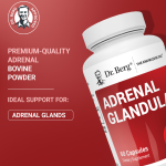 Dr Berg Adrenal Glandular – Hormonal Balance Support | 60 Capsules
