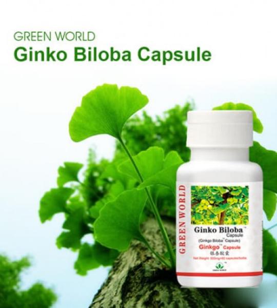 Ginkgo Biloba Capsule Buy Online In Lahore Karachi Faisalabad