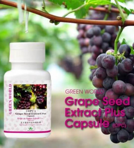 Grape Seed Extract Plus Capsules Available Online in Pakistan