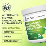 Dr Berg Raw Organic Wheatgrass Juice Powder Organic with Lemon Flavour - 164g