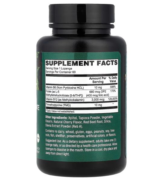 PlantFusion Vegan Vitamin B12 Folate 60 Lozenges Pakistan