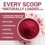 Dr Berg Organic Beetroot Juice Powder | Support Heart Health - 90g
