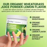 Dr Berg Raw Organic Wheatgrass Juice Powder Organic with Lemon Flavour - 164g