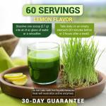 Dr Berg Raw Organic Wheatgrass Juice Powder Organic with Lemon Flavour - 164g