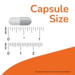 NOW Foods B-50 Nervous System Health 250 Veg Capsules