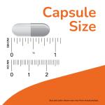 NOW Foods Psyllium Husk Caps Intestinal Health With 50 mg of Apple Pectin 180 Veg Capsules