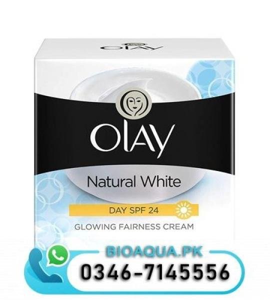 Olay Natural Whitening Day Cream Buy In Pakistan From USA