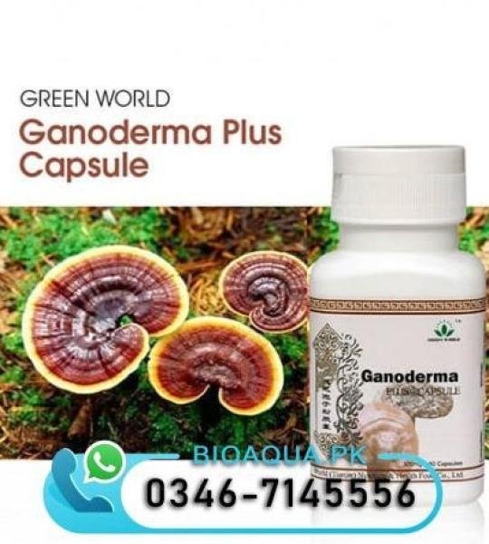 Ganoderma Plus Capsule Anti-Cancer Now Available In Pakistan