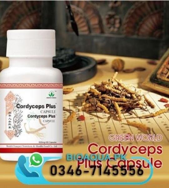 Cordyceps Plus Capsule Buy Online In Karachi Lahore Islamabad