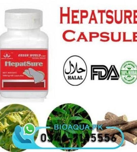 Hepasture Capsule 100% Natural Ingredients Buy Online In Pakistan