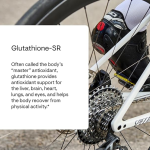 Thorne Glutathione-SR - 60 Capsules