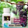 grape seed extracts
